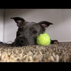 Meet your Posher, Danielle